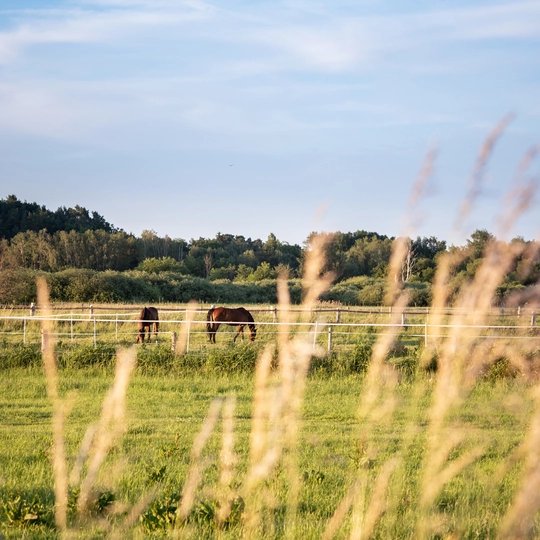 Reinickendorf, Tegeler Fließ