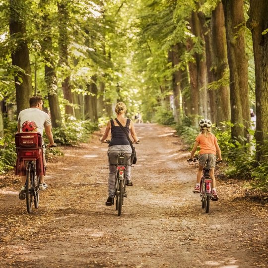 family on bikes in a forest 