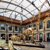 Museum für Naturkunde