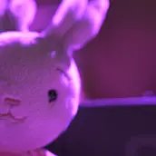 Lucy und der Angsthase