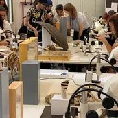 Mikroskopworkshop im Museum für Naturkunde Berlin