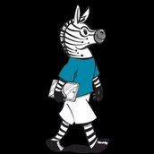 Digital-Zebra: Digital-Beratung