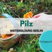 Pilz Weiterbildung für Fortgeschrittene