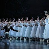 Giselle