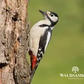 e_39db2d613f5ab4571dc5ff38cc47ff5d_img-hopop