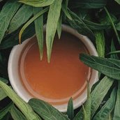 Fastenkurs in Berlin