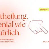 e_40157e2c28b57a7bd48e0b464d09a674_img-hopop