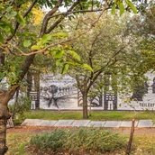 Parlament der Bäume