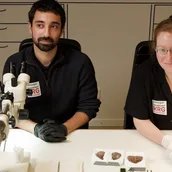 Live-Restaurierung am PETRI Berlin