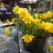 Kräutertage und Gartensaisonstart bei Späth