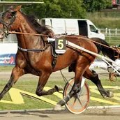 Der Österreicher Thomas Royer beim Fritz-Brandt-Rennen