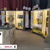 e_8bb1121995b98f66f148931d4f25ee17_img-hopop