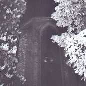 Bärentouren - Historische Alchemisten in Berlin