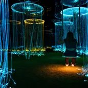 e_a249b0477d127df2c763880ac0b71711_img-hopop