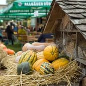Traditionsfest mit Herbstblütenpracht, Live-Musik und Kinderprogramm