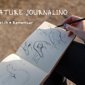 Naturtagebuch für Vogelbeobachter