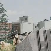 Carl Wolff, Das Kulturforum als Landschaft