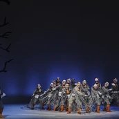 Nils Holgerssons wundersame Abenteuer