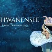 Schwanensee - Ballett mit Orchester 2026