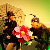 e_d365f6f85fe34ceb16a169e6f0caae3d_img-hopop