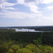 Blick auf den Müggelturm und das umgebende Waldgebiet