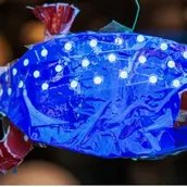 Ein selbst gestalteter Kofferfisch im Humboldt Labor