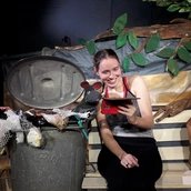 Die Eichhörnchen-Story