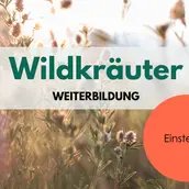Wildkräuter Weiterbildung