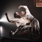 PULSE - A dialogue of instincts