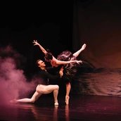 Schwanensee – Jenseits der Bühne