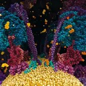 Cell structure from "Chemistry of Life"
