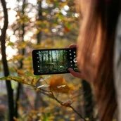 Naturfotografie Smartphone