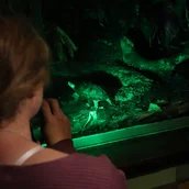Dschungel-Abende im Tierpark Berlin
