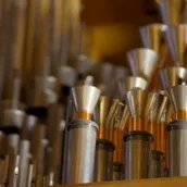 Detail-Ansicht der Orgel in der Nikolaikirche