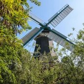 Die Holländermühle besteht aus einem festen Fundament und einer beweglichen Kappe. Bei einer Veränderung der Windrichtung, lassen sich Kappe und Flügel zurück in den Wind drehen.
