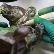 Restaurierung eines Fundes im PETRI Berlin