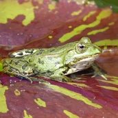 genid-66bd5bdb641047d8ad0a83edd26b83f523873122-b7