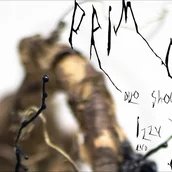 PRIMORDIA - Duo show 