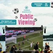 PUBLIC VIEWING