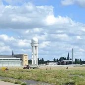 Das wilde Summen des Tempelhofer Feldes - Spannende Einblicke in das Leben der Wildbienen