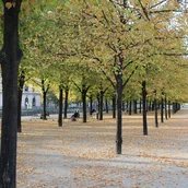 Unter den Linden