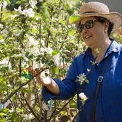 Gartenmarkt und Frühlingsfest "Späth'er Frühling"