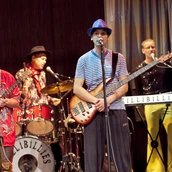 Die Millibillies - Ein fabelhaftes Konzert