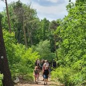 Wanderung im Grunewald