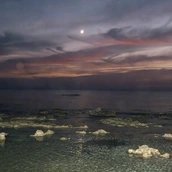 Dreamers bay, 2026
