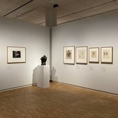 Blick in die Ausstellung im Käthe-Kollwitz-Museum Berlin