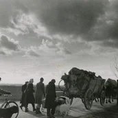 Der Treck aus Lübchen 1945. 
