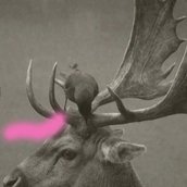 Deer-Bird Duo I, 2026