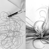 Drawing Camp