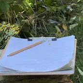Nature Writing - einfach ausprobieren!